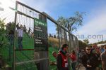 Tribuna Verde <br /> MotoGP Valencia circuito Cheste